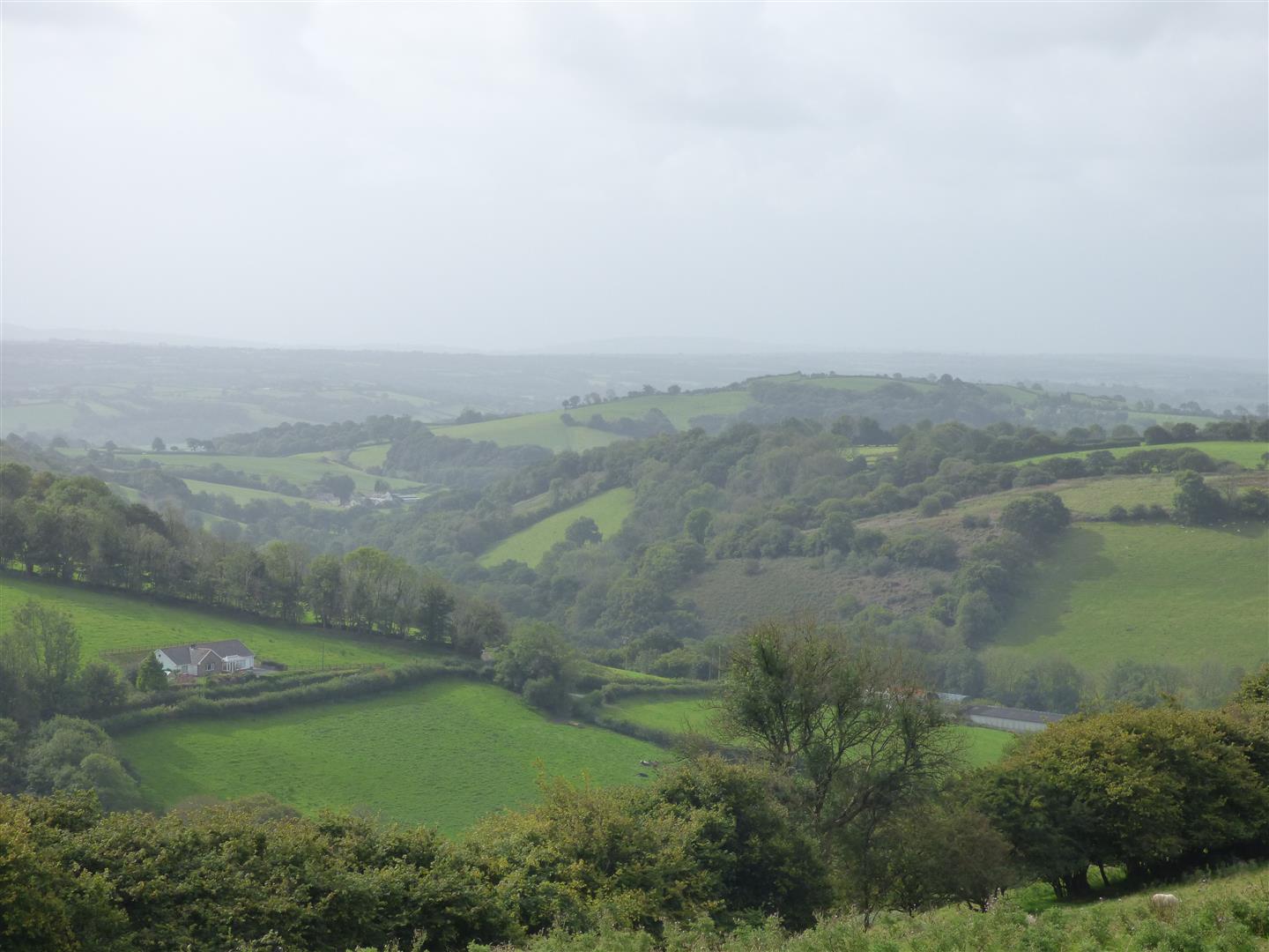 VIEW FROM THE PROPERTY